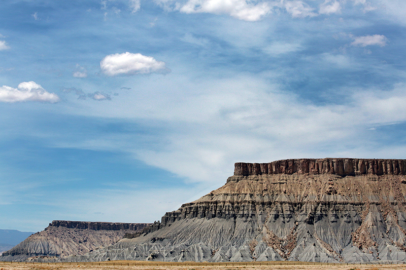 Bison : Antelope Island : Utah : Landscape Photos : Richard Moore : Photographer